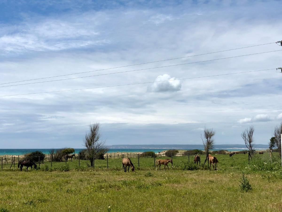Aretusa El Velero Zahara de los Atunes